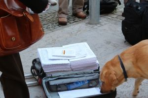 Vor dem Ausschuss samt Hündin